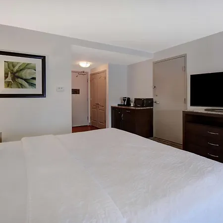 Hilton Garden Inn Fort Myers-2