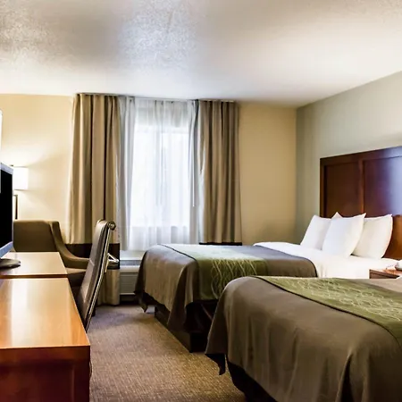 Comfort Inn Fort Myers Northeast-2